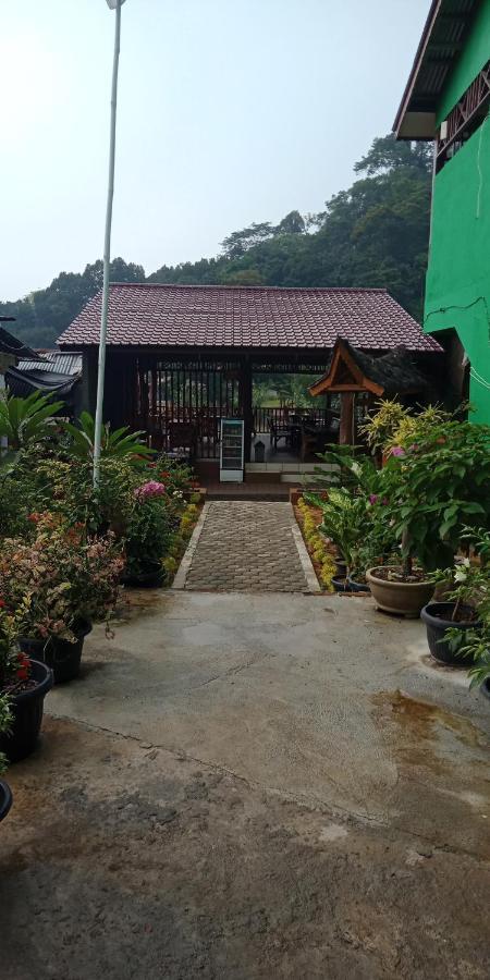 Ida Guest House & Restaurant Bukit Lawang Eksteriør billede